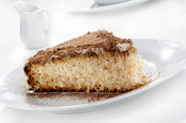 Summer cake with chocolate powder — Stock Photo, Image