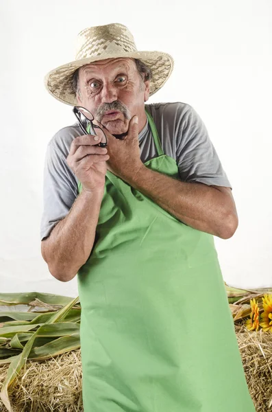 Organic farmer with glasses and a green apron — Stock Photo, Image