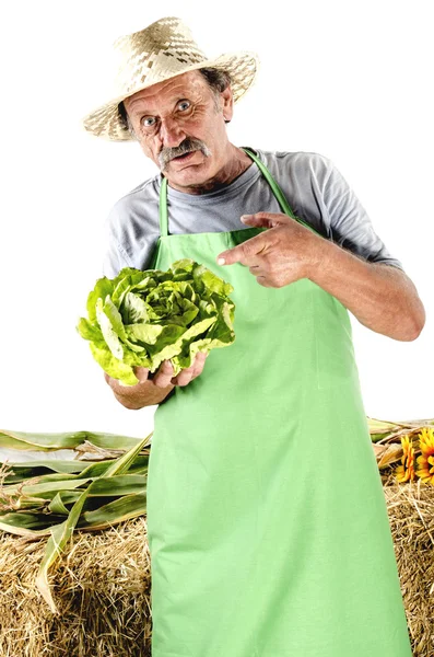 Agricultor orgânico com uma alface na mão — Fotografia de Stock