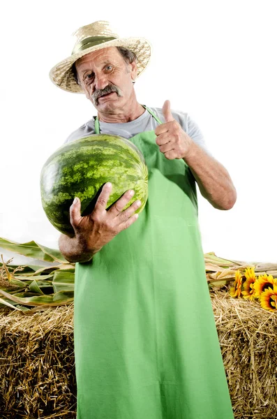 Organic farmer with a water melon — Stock Photo, Image