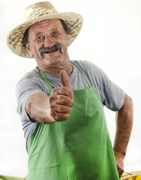 Rolnik ekologiczny podnosi jego kciuk — Zdjęcie stockowe