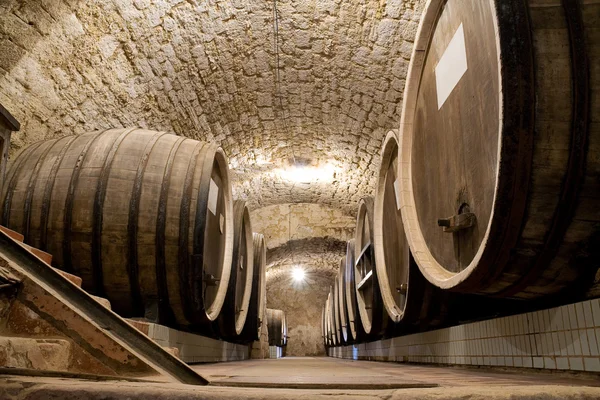 Barrels In A Wine-cellar. — Stock Photo, Image