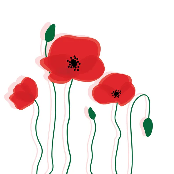 Red poppy flowers background — Stock Vector