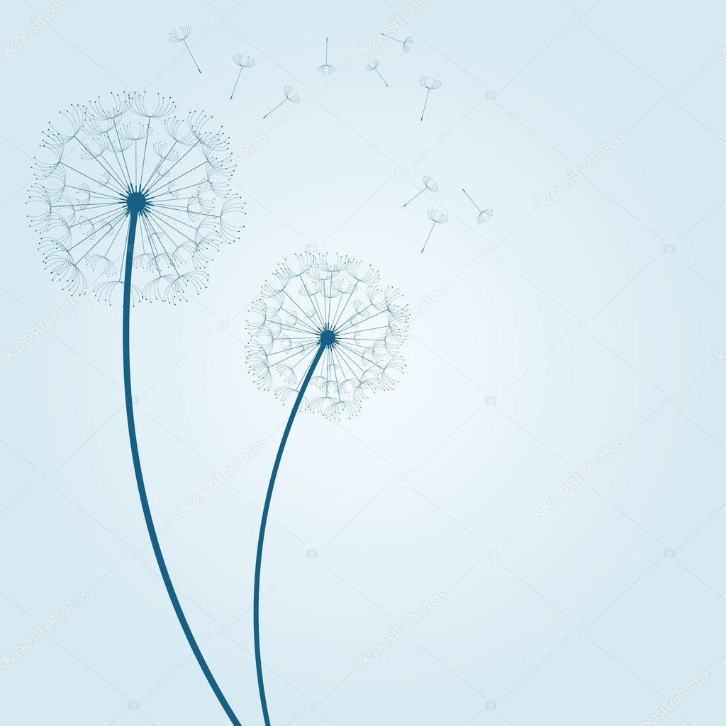 Vector dandelion background