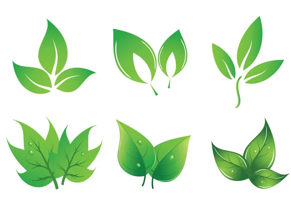 Set of green vector leaves — Stock Vector