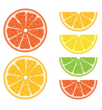 Citrus vector seamless clipart