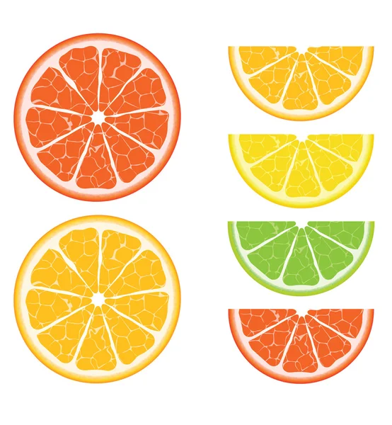 シームレスな柑橘類のベクトル — ストックベクタ
