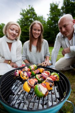 Friends Barbecue in Park clipart