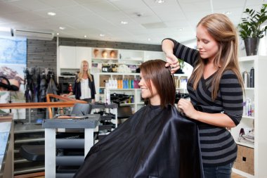 Hairdresser Thinning Customer's Hair