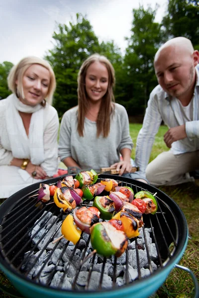 Vrienden barbecue in het park — Stockfoto