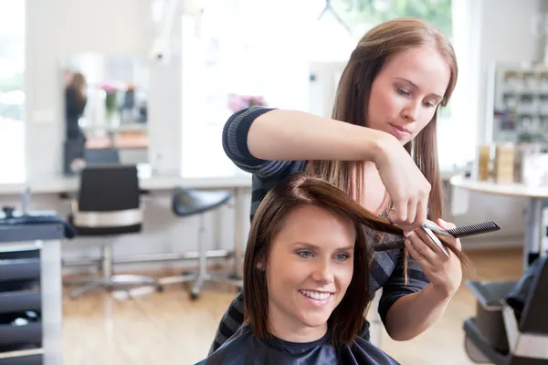 Hairdresser Cutting Client's Hair Royalty Free Stock Photos