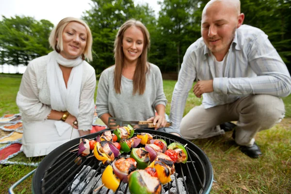 Kebabs op draagbare barbecue — Stockfoto