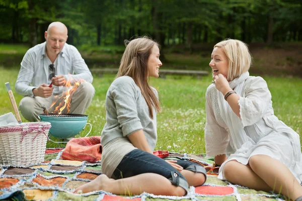 Açık bir piknik üzerinde mutlu arkadaşlar — Stok fotoğraf