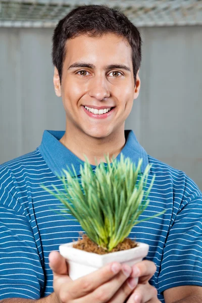 Uomo che tiene piccola pianta — Foto Stock