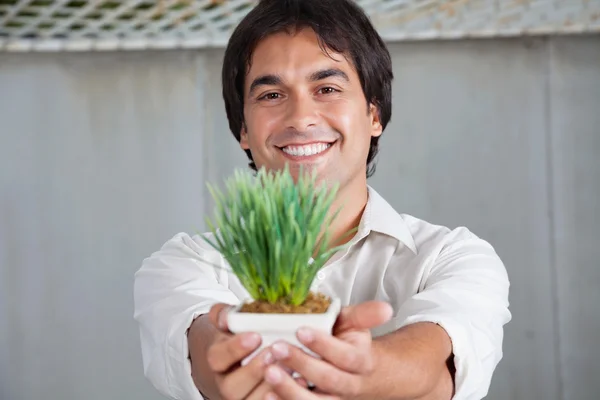 Stock image Happy Man Holding Plant