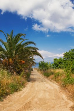 A dirt road leading to a secluded beach in Hanioti clipart
