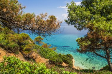 Seascape in Kassandra, Halkidiki clipart