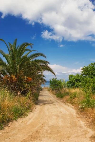 A dirt road leading to a secluded beach in Hanioti — Stock Photo, Image