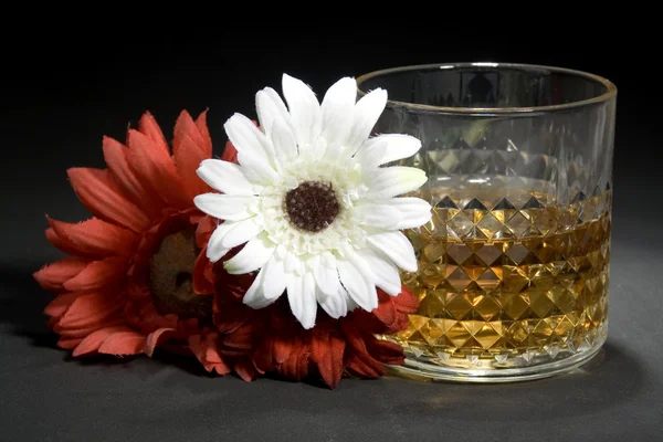 Old Scotch Whiskey — Stock Photo, Image