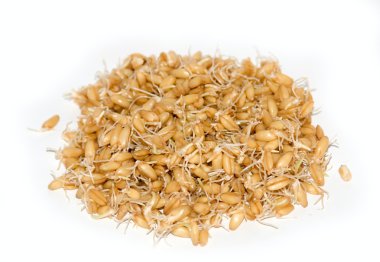 Wheat Germs Isolated on White Background clipart