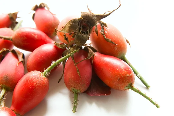 Rose hip fruit, isolated over white background. — Stock Photo, Image