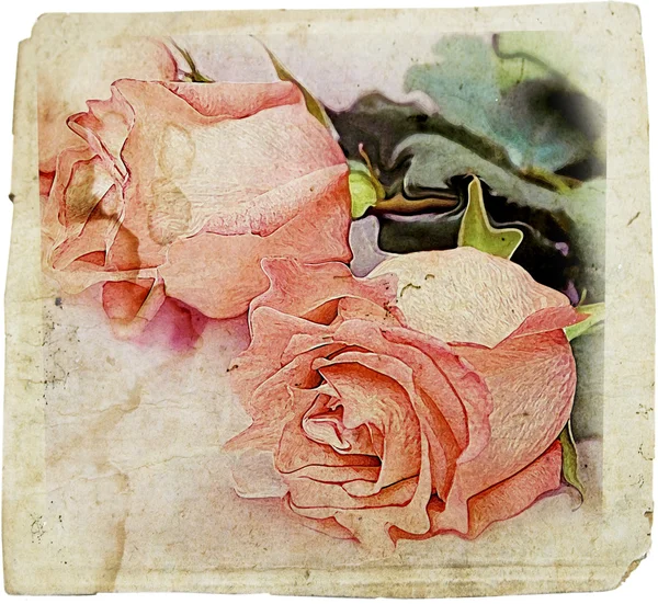 Vintage rose backdrop — Stock Photo, Image