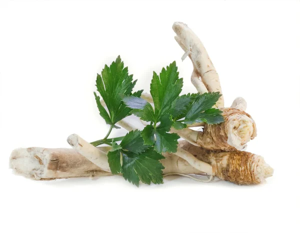 Fresh horseradish — Stock Photo, Image