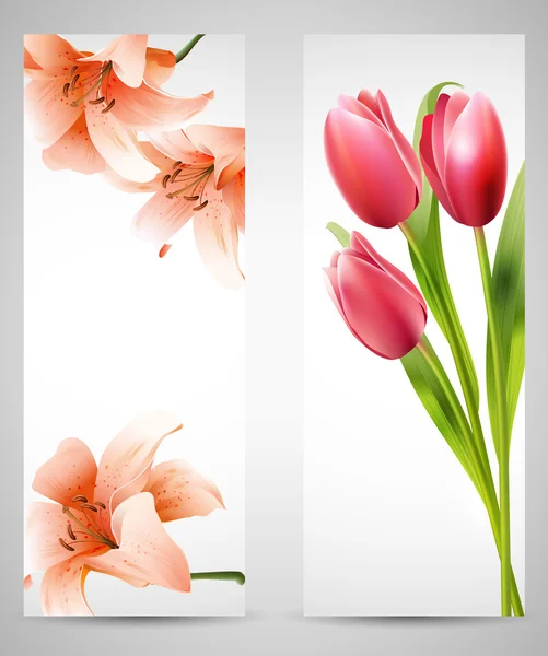 Fundo com tulipas e lírios laranja — Vetor de Stock
