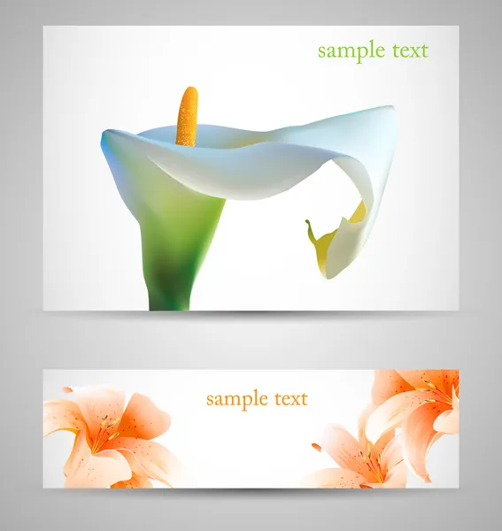 Background with White Calla and orange lilies — Stock Vector