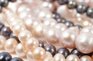 Pearls clipart