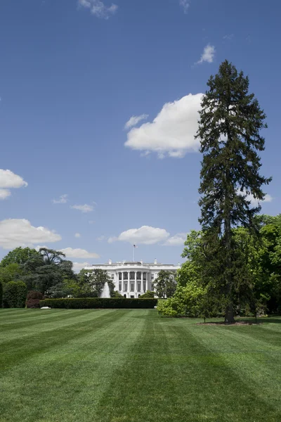 Белый дом — стоковое фото