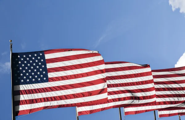 USA flaggor — Stockfoto