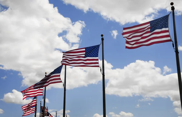 Американські прапори Ліцензійні Стокові Зображення
