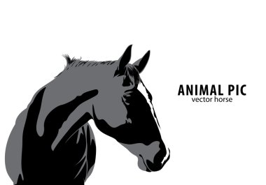 Vector Horse clipart