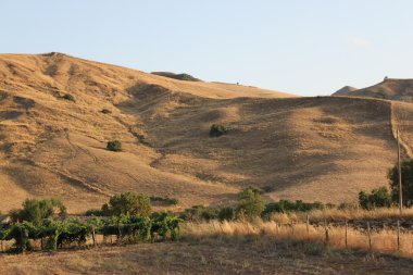 Doğa manzarası