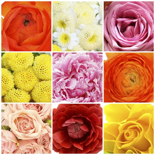 Virágok kollázs - piros rózsa, rózsaszín pünkösdi rózsa, narancs buttercup — Stock Fotó