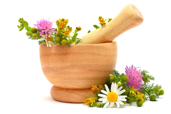 Mortar, medicine herbs and flowers — Stock Photo, Image