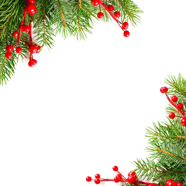 白い背景の上の緑のクリスマス ツリーと赤ホリー ベリー — ストック写真