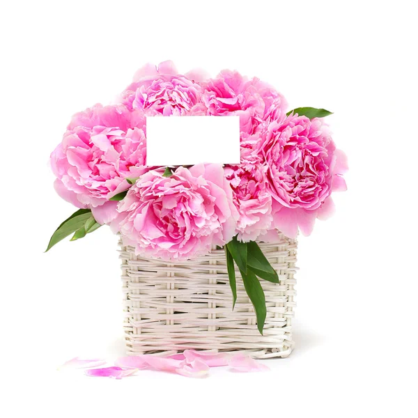 Цветочный розовый пион - цветочный подарок — стоковое фото