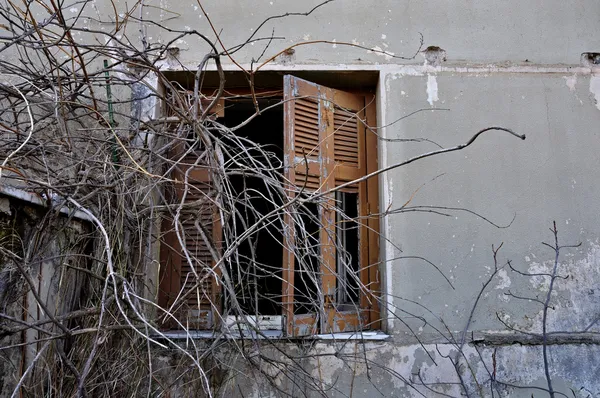 Schälende Wand und kaputte Fensterläden — Stockfoto