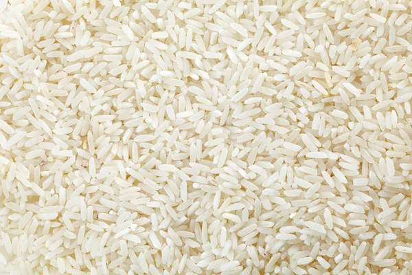 stock image Rice background