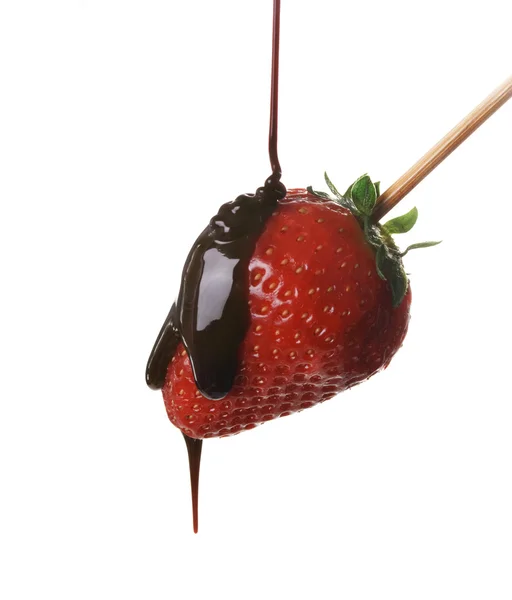 Strawberry in chocolate — Stock Photo, Image