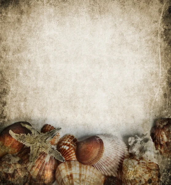 Marco de conchas marinas — Foto de Stock