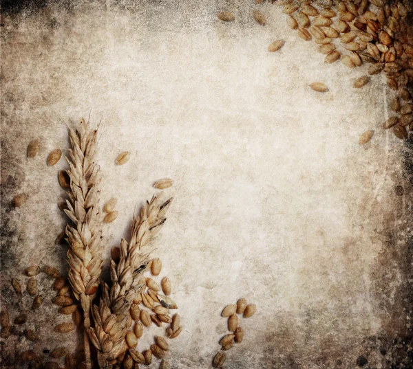 小麦グランジ背景 — ストック写真
