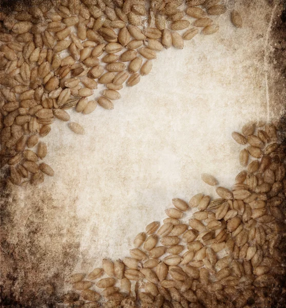 Пшениця гранж фону — стокове фото