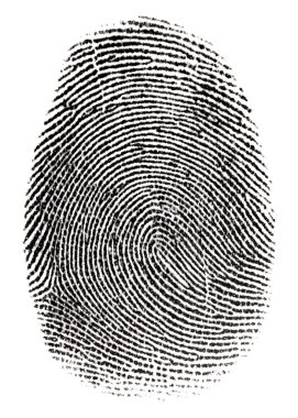 Real fingerprint clipart
