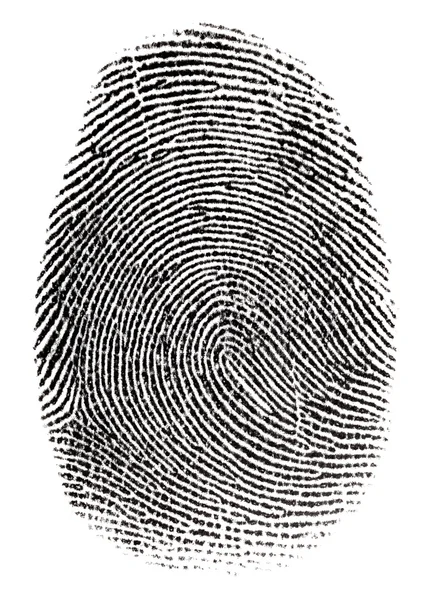 Real fingerprint — Stock Photo, Image
