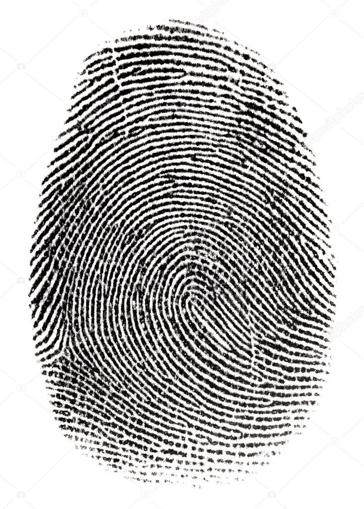Real fingerprint