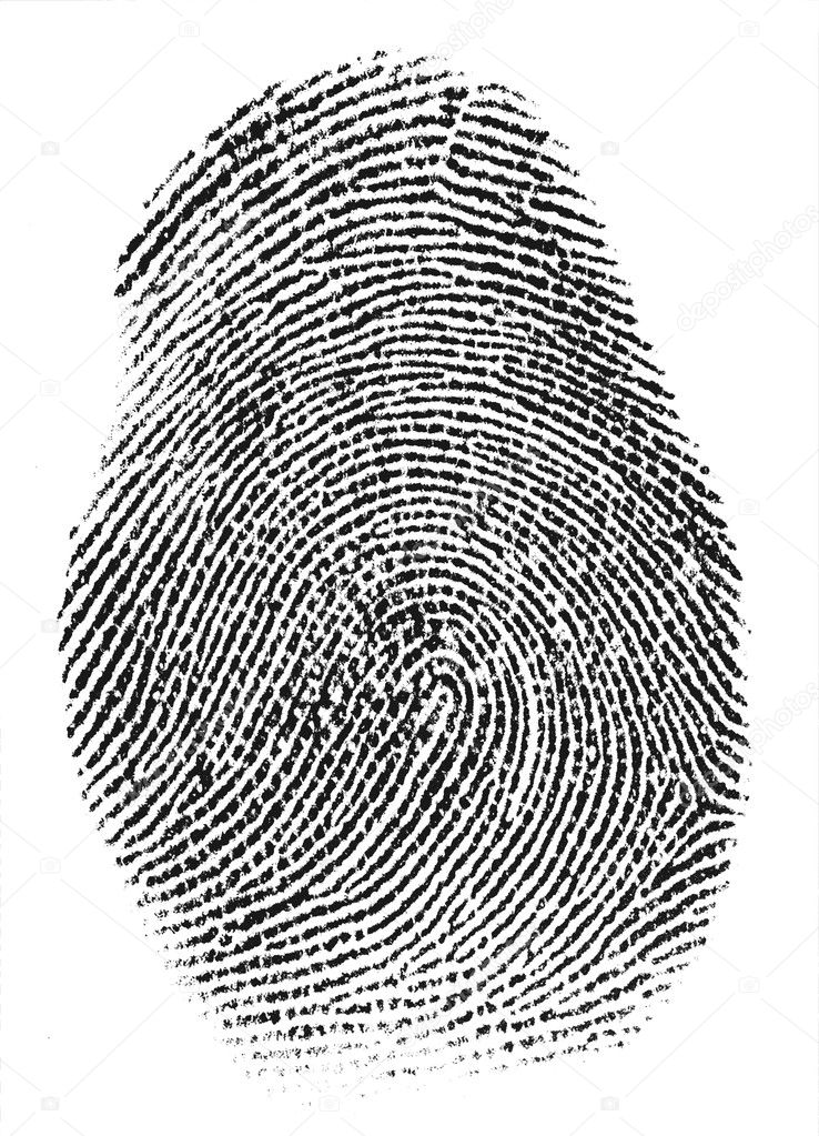 Real fingerprint