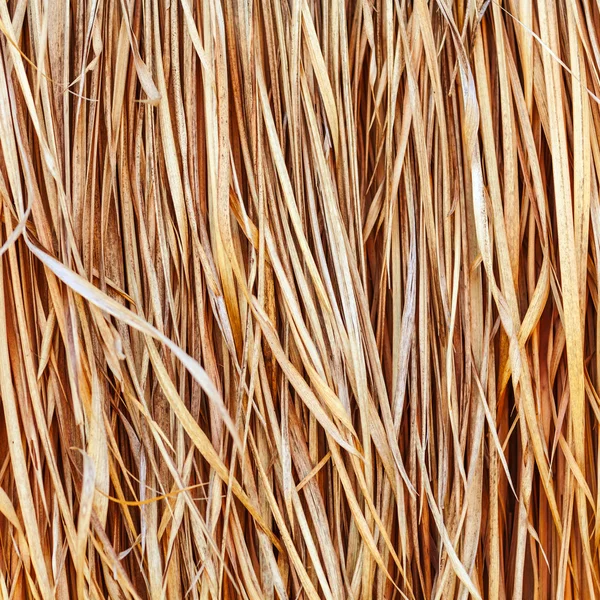 stock image Straw background